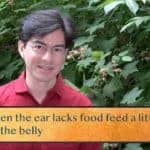 When the ear lacks food feed a little / To the belly