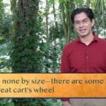 Scorn none by size—there are some like the pin / In a great cart’s wheel