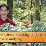 Do right without waiting—at death it remains / Beside one undying
