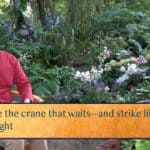 Wait like the crane that waits—and strike like the crane / When right