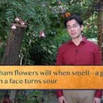 Anicham flowers wilt when smelt—a guest wilts / When a face turns sour
