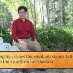 Even stung by arrows the elephant stands tall—even stung / By failure the sturdy do not slacken