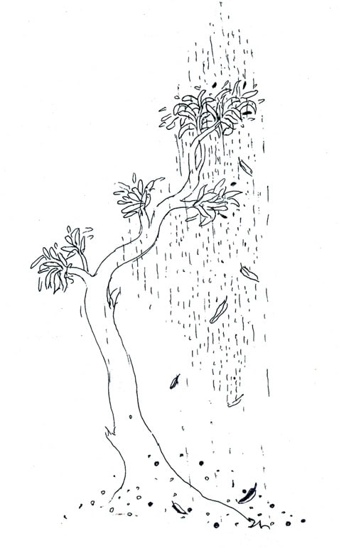 Drawing by C F John